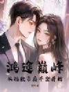 鸿途巅峰:从拯救市府千金开始